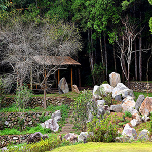 竹石園生態渡假中心